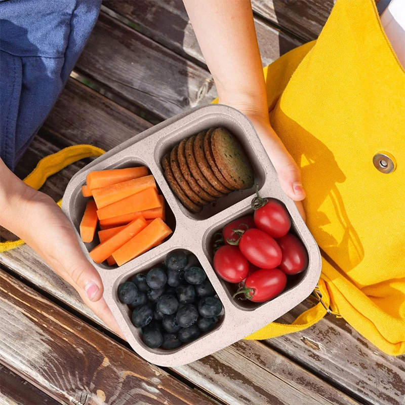 4 Grids Food Storage Box Porta - огляд і ціна Food Storage Cupboard