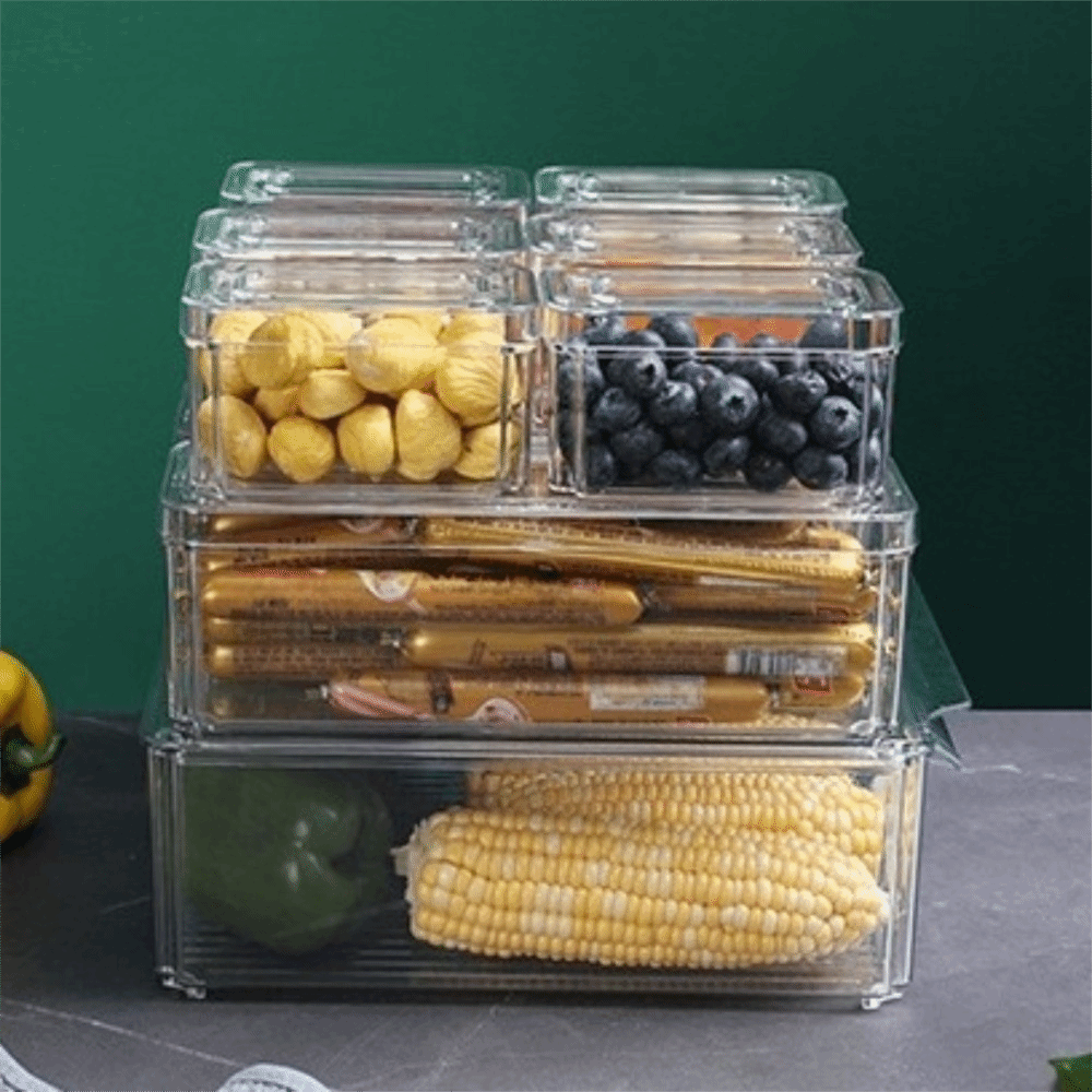 Practical Transparent Fridge O - огляд і ціна Food Storage Practices