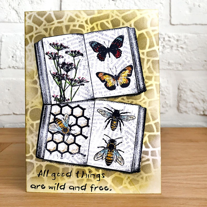 New Book Pattern Transparent C - огляд і ціна Food Storage Label