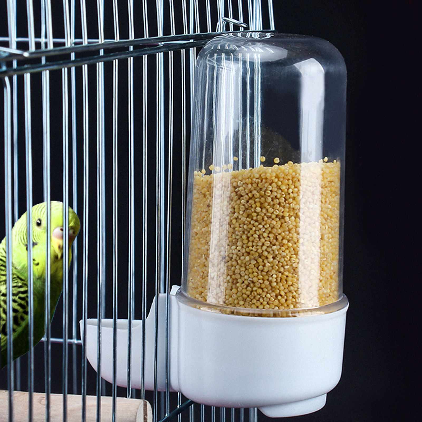 2Pcs Bird Food Storage Box Pla - огляд і ціна Food Storage For Long Term